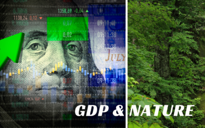 UN calls for new system to measure global economic growth by integrating natural capital in gross domestic product (GDP)