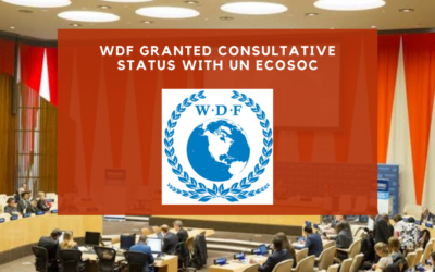 World Development Foundation Granted Consultative Status with ECOSOC at the United Nations